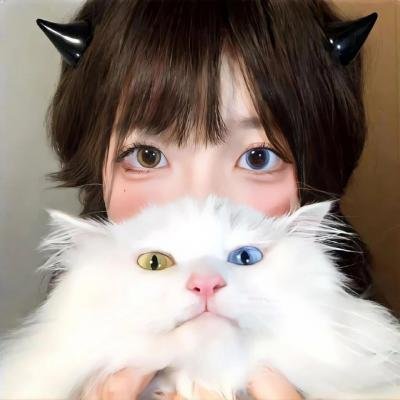 踏舞高蹈